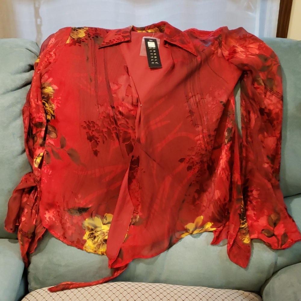 Dressy Blouse